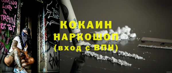 индика Беломорск