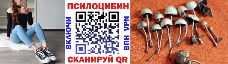 Галлюциногенные грибы мухоморы Николаевск-на-Амуре
